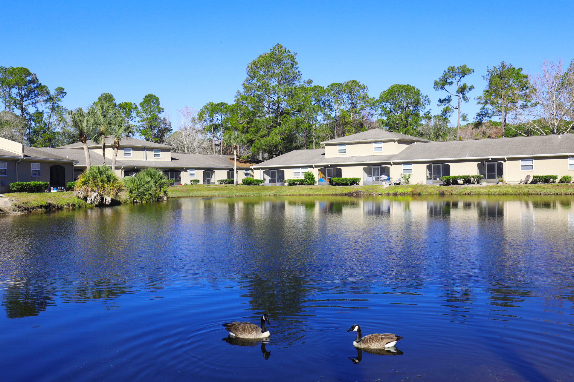 Pickwick Apartments The Multifamily Advisory Group at Cushman & Wakefield